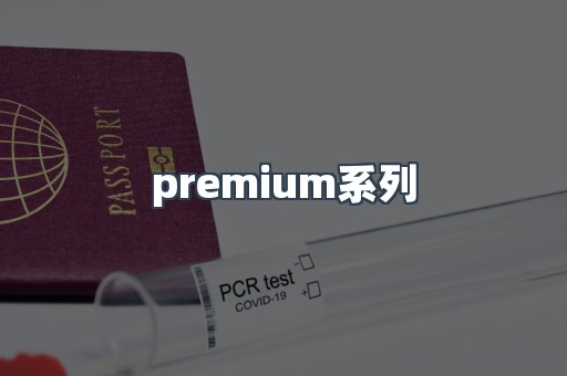 premium系列